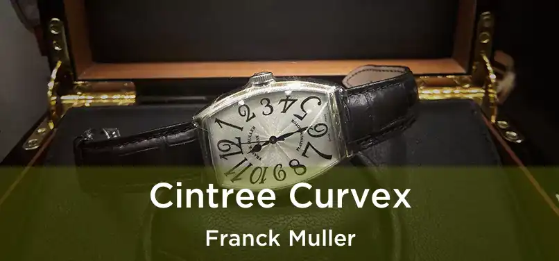  Cintree Curvex Franck Muller