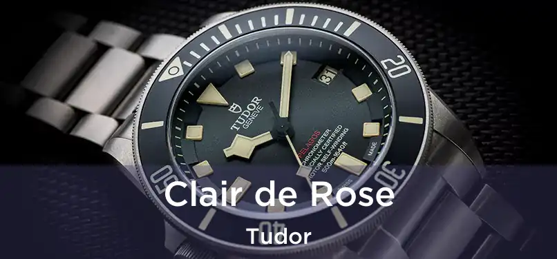  Clair de Rose Tudor